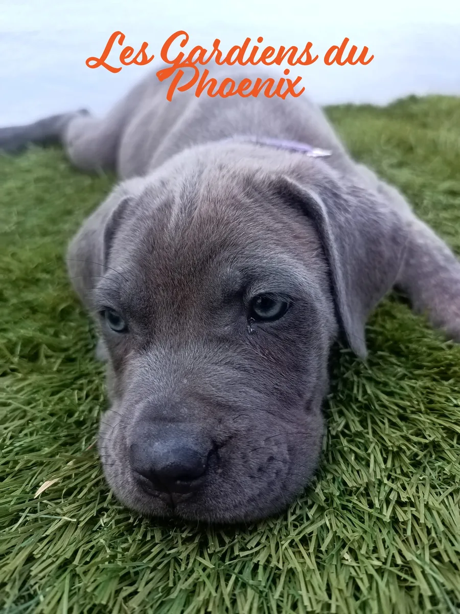 violette 3 mo