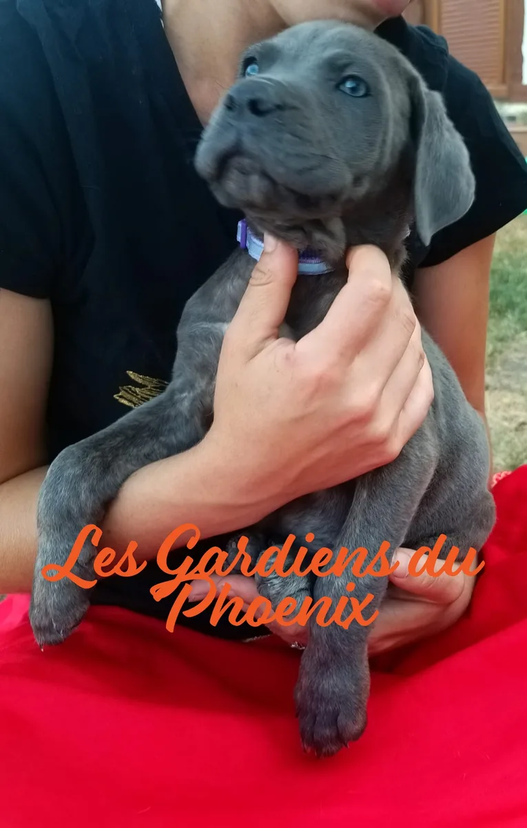 violette 4 mo