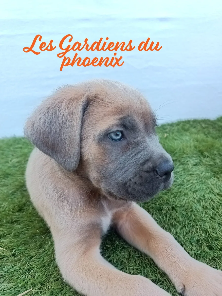 bleu foncé 3 mo
