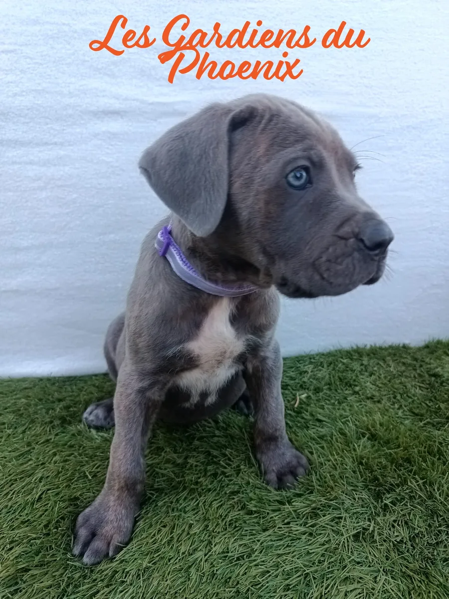 violette 2 mo