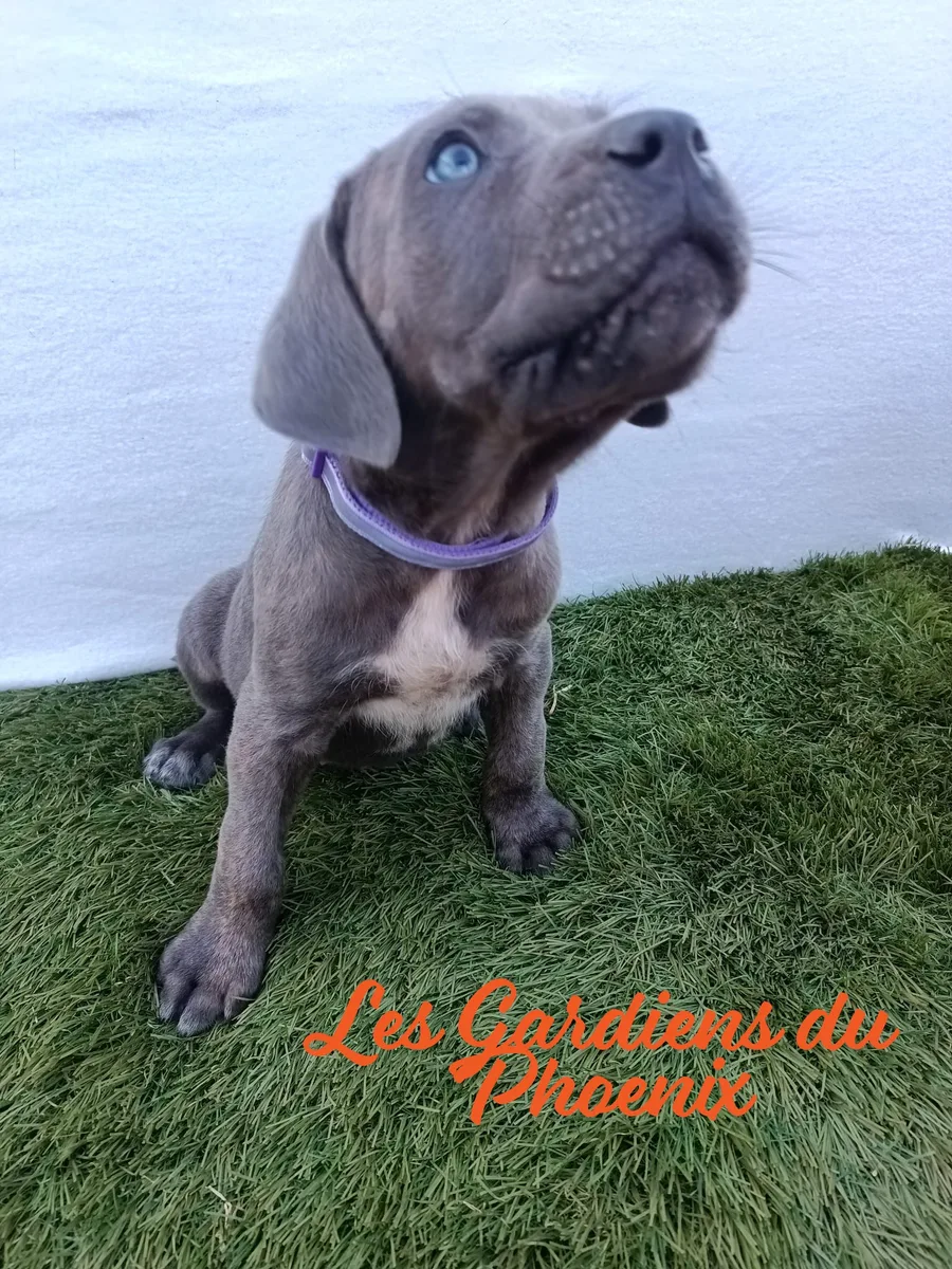 violette 1 mo